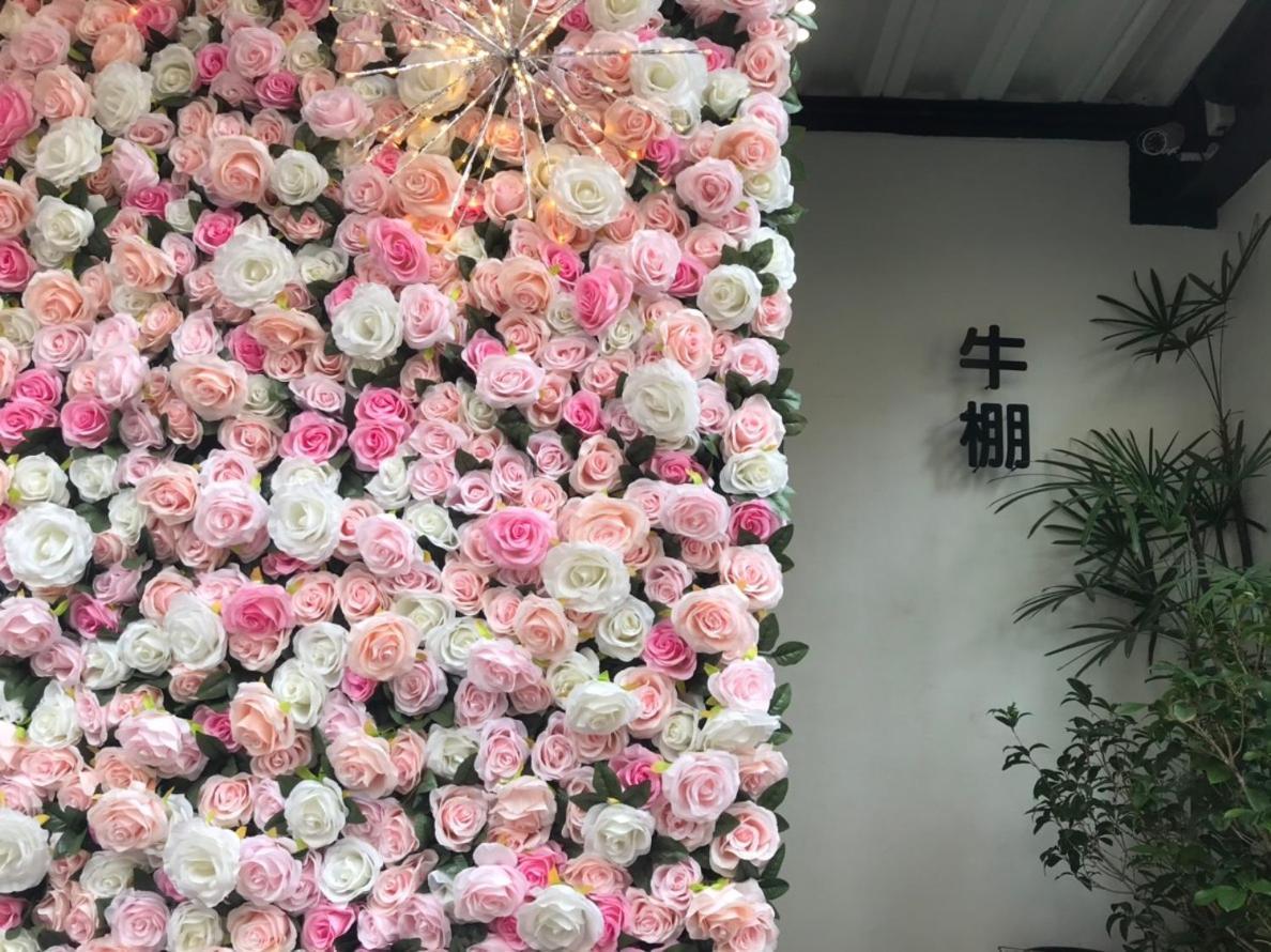 Donghai Cottage Backpack Inn Suite Longjing Zewnętrze zdjęcie